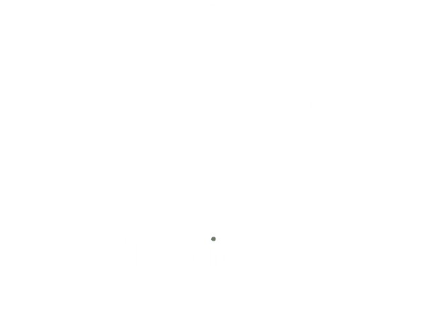 Wellspring Yew Hero Logo