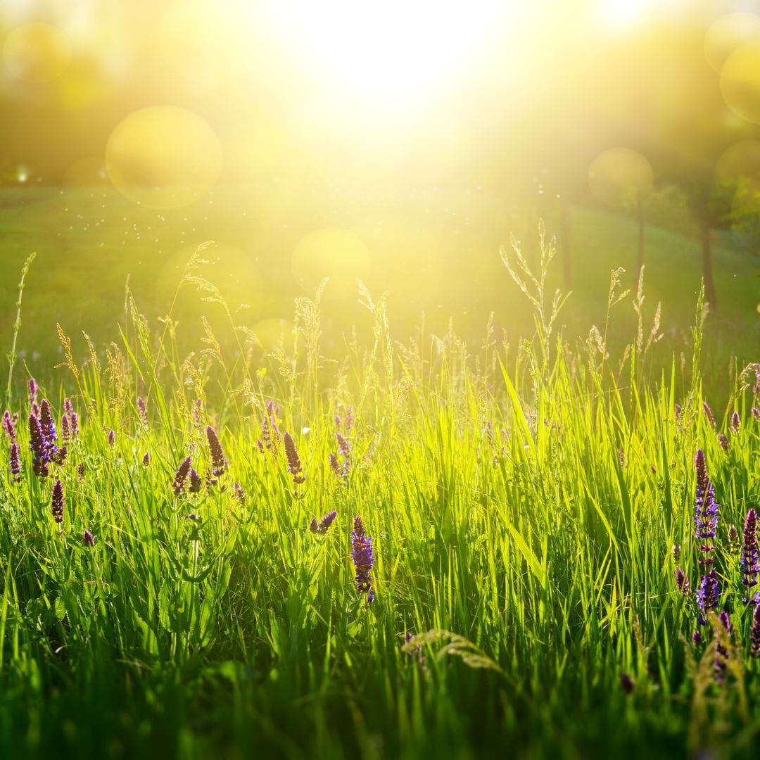 Why we’ve chosen to grow slowly